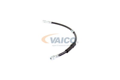 FURTUN FRANA VAICO V104138 17