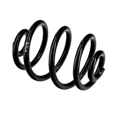 ARC SPIRAL EIBACH R10360 9