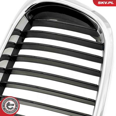 GRILA RADIATOR ESEN SKV 66SKV160 6