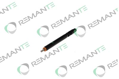 INJECTOR REMANTE 002003002166R 5