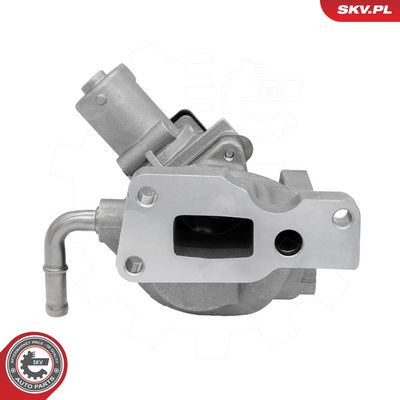 ESEN SKV - AGR - Ventil SSANGYONG , 14SKV345