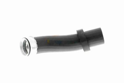 FURTUN EAR SUPRAALIMENTARE VAICO V201619 1