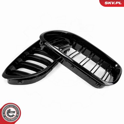 GRILA RADIATOR ESEN SKV 66SKV206 4