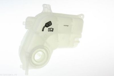 VAS DE EXPANSIUNE RACIRE