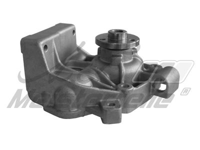водна помпа, охлаждане на двигателя A.Z. Meisterteile AZMT-30-100-1549