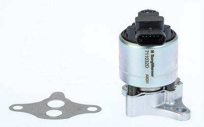 AGR-Ventil BorgWarner 711032D