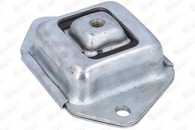 BUCSA PUNTE BIRTH 53920 3