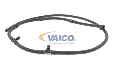 SCHLAUCH LECKKRAFTSTOFF VAICO V203609 48