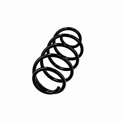 ARC SPIRAL EIBACH R10193 14