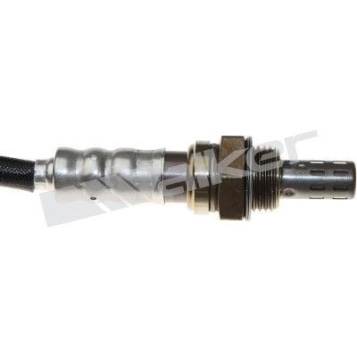 LAMBDASONDE WALKER PRODUCTS 25024719 1