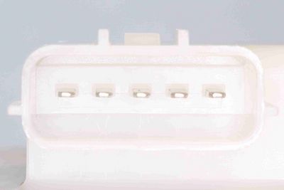 POMPA COMBUSTIBIL ACKOJA A38090015 2