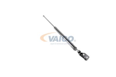 GASFEDER KOFFER-/LADERAUM VAICO V320074 46