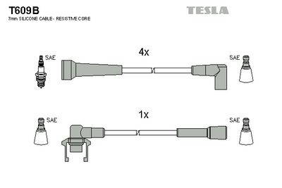 комплект запалителеи кабели TESLA T609B