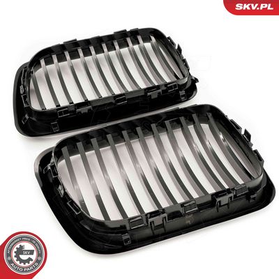 GRILA RADIATOR ESEN SKV 66SKV049 3