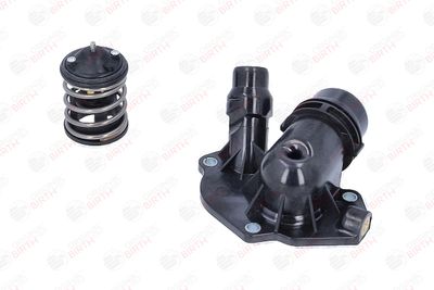 FLANSA LICHID RACIRE BIRTH 81103 8