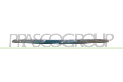 покривна/защитна лайсна, решетка на радиатора PRASCO DW0112206