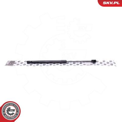 Gasfeder, Koffer-/Laderaum