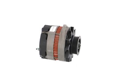 GENERATOR / ALTERNATOR REMANTE 011003000080R 49
