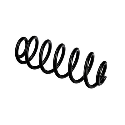 ARC SPIRAL EIBACH R10141 21