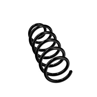 ARC SPIRAL EIBACH R22963 12