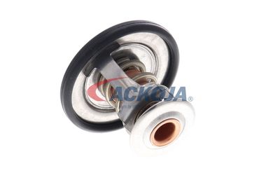 TERMOSTAT LICHID RACIRE ACKOJA A70990031 44