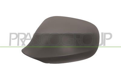 ACOPERIRE OGLINDA EXTERIOARA