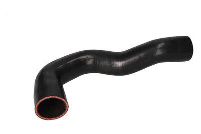 FURTUN EAR SUPRAALIMENTARE BIRTH 55646 12