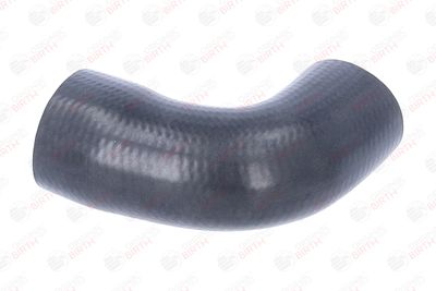 FURTUN EAR SUPRAALIMENTARE BIRTH 55720 7