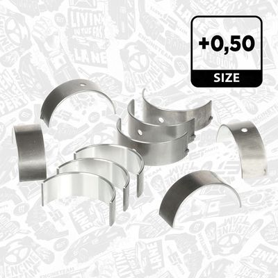 SET RULEMT ARBORE COTIT ET ENGINETEAM LH006250 1