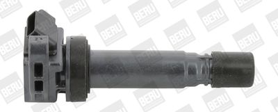 BorgWarner (BERU) Zündspule
