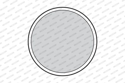 SET PLACUTE FRANA FRANA DISC FERODO FDB58 1