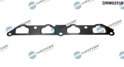 Uszczelka, kolektor dolotowy DR.MOTOR AUTOMOTIVE DRM02510
