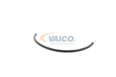 FURTUN FRANA VAICO V309926 38