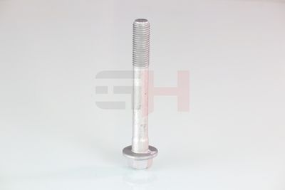 SURUB CAPAT DE AX GH GH391580 48