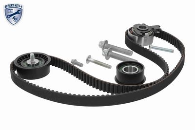 SET CUREA DE DISTRIBUTIE