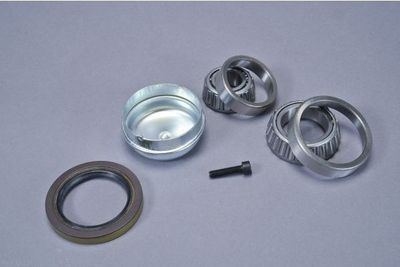 SET RULMENT ROATA AUTOMEGA 110195210 1