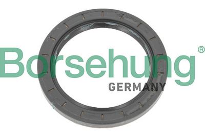 Borsehung Уплотняющее кольцо, дифференциал