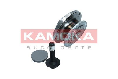 Wheel Bearing Kit 5500044