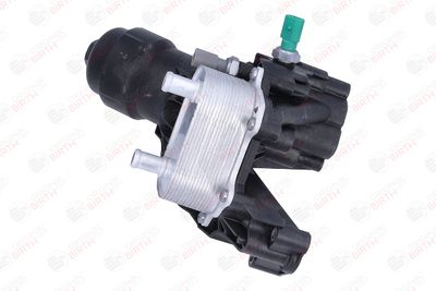 RADIATOR ULEI ULEI MOTOR BIRTH 80843 8