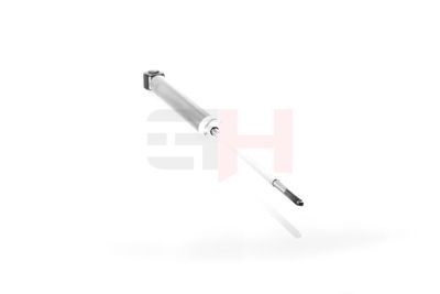 AMORTIZOR GH GH333995 21