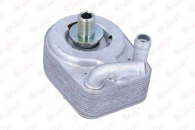 RADIATOR ULEI ULEI MOTOR BIRTH 80822 3