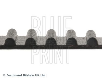 CUREA DE DISTRIBUTIE BLUE PRINT ADT37507 1