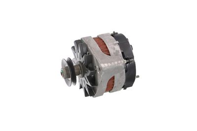 GENERATOR / ALTERNATOR REMANTE 011003000079R 13