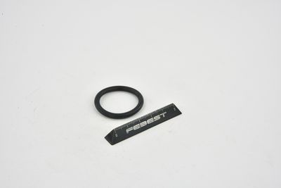 GARNITURA FLANSA LICHID RACIRE FEBEST TTTRAFII 47