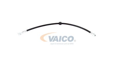 FURTUN FRANA VAICO V201909 12