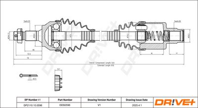 DP2110.10.0596