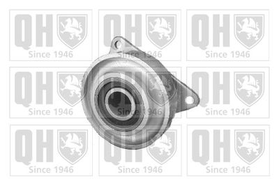 Rolka napinacza, pasek klinowy wielorowkowy QUINTON HAZELL QTA729