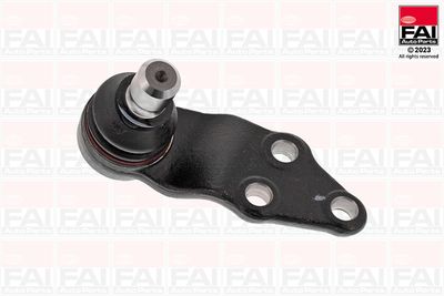 Шарнири FAI AutoParts SS10785