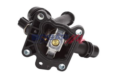 Thermostat, Kühlmittel