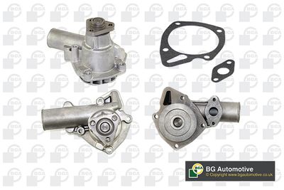 POMPă DE APă RăCIRE MOTOR BGA CP2194L